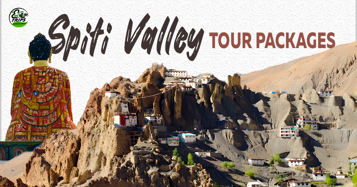 Spiti Valley tour packages